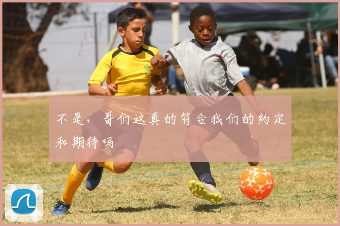 不是，哥们这真的符合我们的约定和期待吗